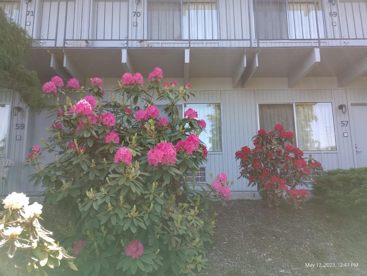 Cocusa Motel Burlington Eksteriør bilde